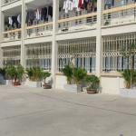 CỰU SINH VIÊN K40: GIEO MẦM XANH - LAN TỎA THÔNG ĐIỆP BẢO VỆ MÔI TRƯỜNG, PHÁT TRIỂN BỀN VỮNG