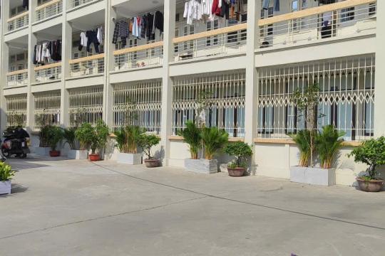 CỰU SINH VIÊN K40: GIEO MẦM XANH - LAN TỎA THÔNG ĐIỆP BẢO VỆ MÔI TRƯỜNG, PHÁT TRIỂN BỀN VỮNG